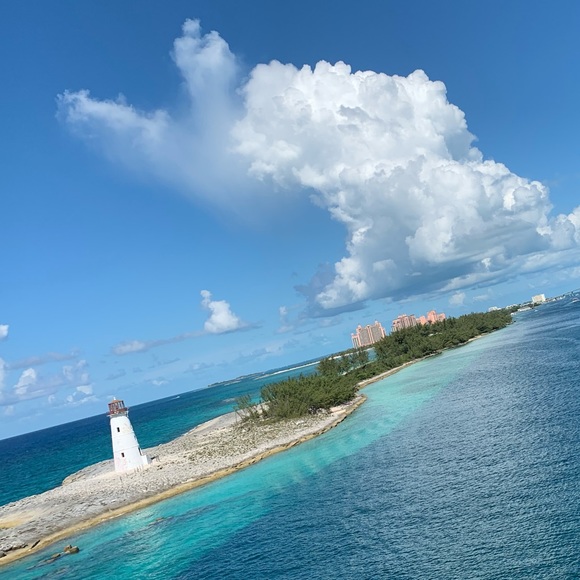 Meet your Posher, Peyton - Picture 1 of 1